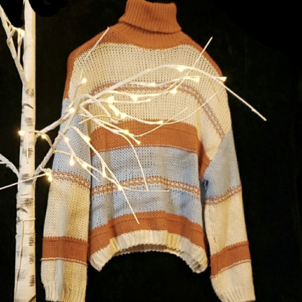 Cropped Turtle Neck Sweater